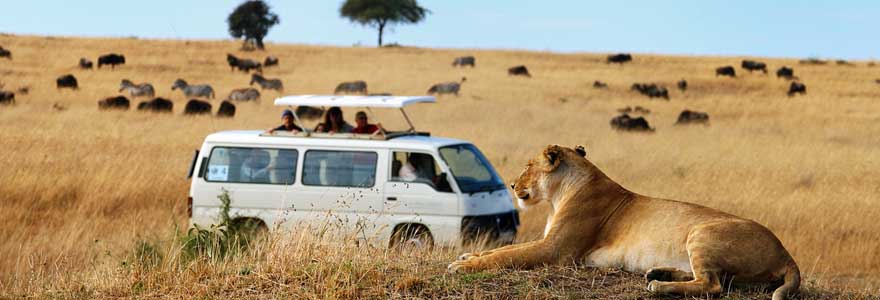 safari en Afrique 